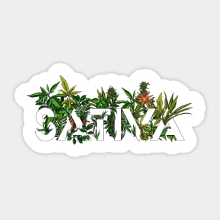 Sativa Sticker